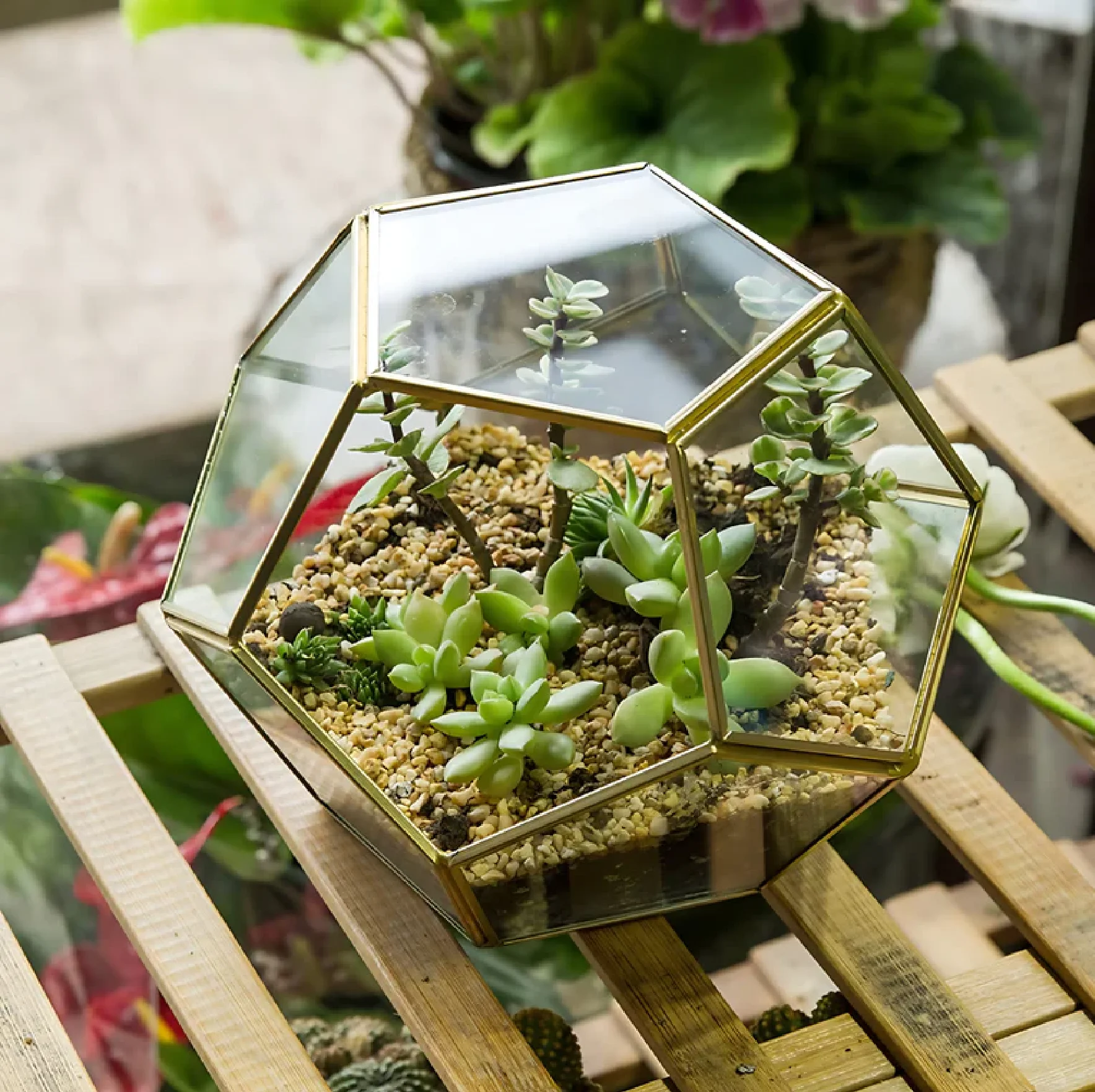 Glass Geometric Terrarium Box Tabletop Succulent Plant Planter Flower Display and Table Decoration At Wholesale and Factory Pric