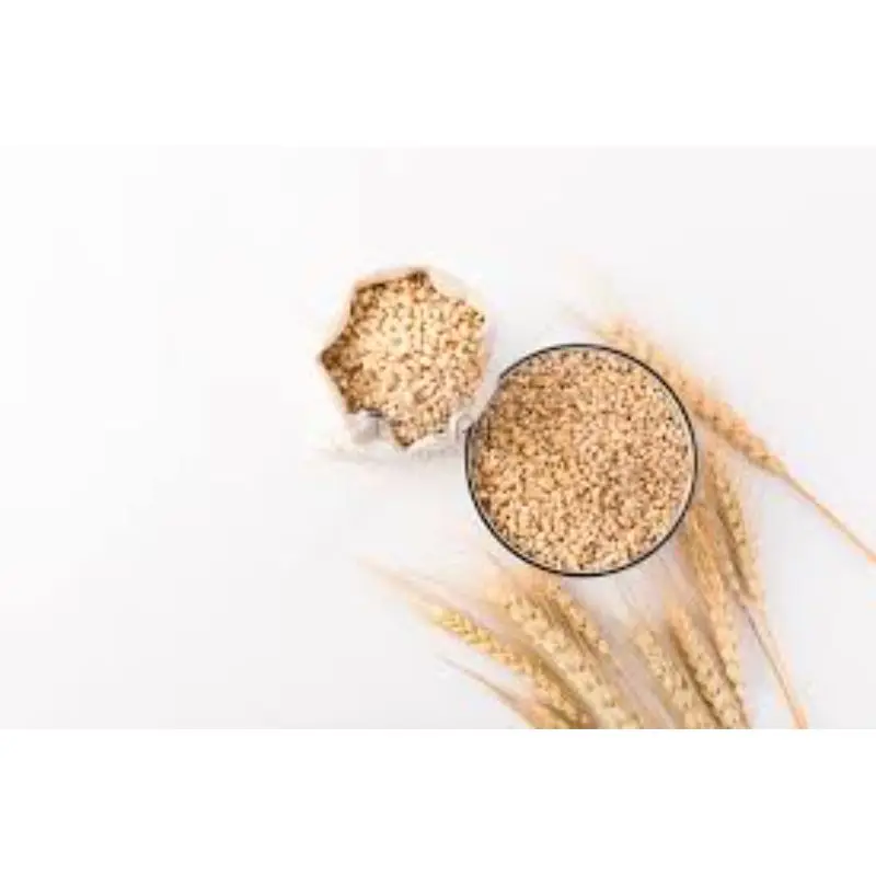 Wheat Available For Sale