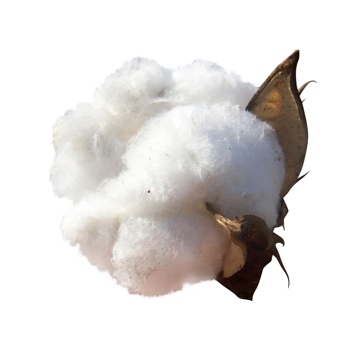 Hot selling loose/rolled/sheets cotton cellulose in bulk reliable supplier cotton pulp for sale