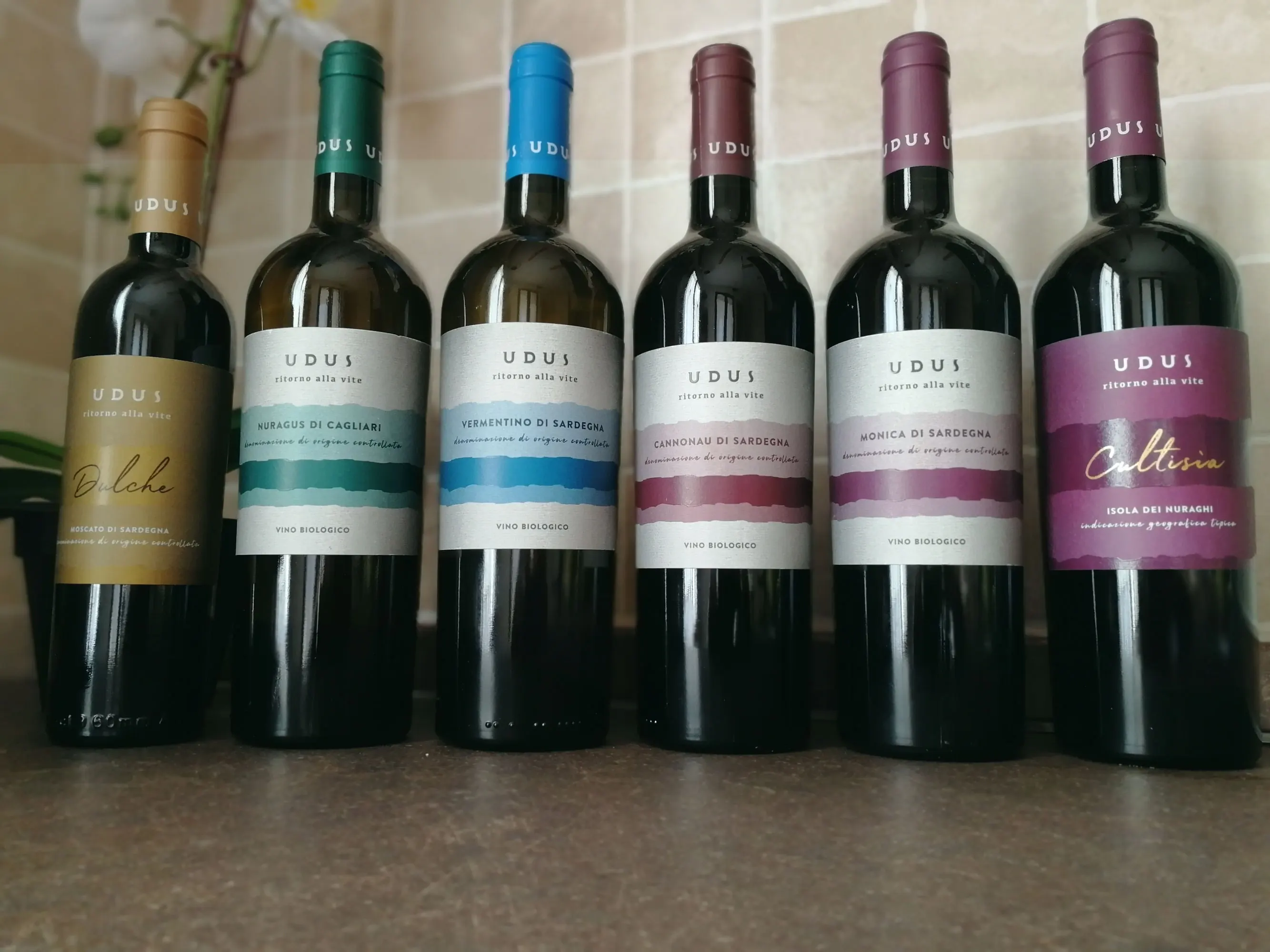 Best sell made in Italy Intense wine 750ml glass bottle type good DOC medium Red Wine wine table