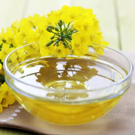 High Quality Pure Refined Canola Rapeseed Oil for Sale at Very Low Price