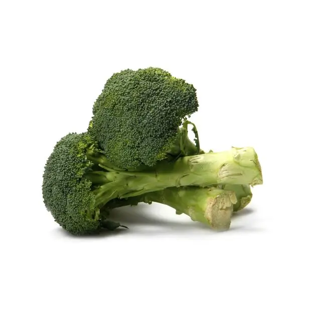 Direct Factory Wholesale Cheap Price Fresh Place Model Maturity Cultivation Broccoli Frozen Vegetable Broccoli From Bangladesh