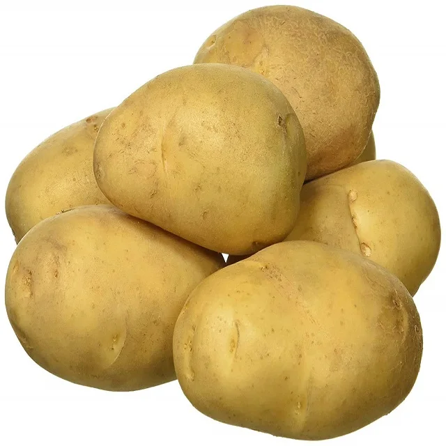 Cheap Price Bulk Organic Fresh Potato Yellow Color Potatoes Wholesale Export Potato
