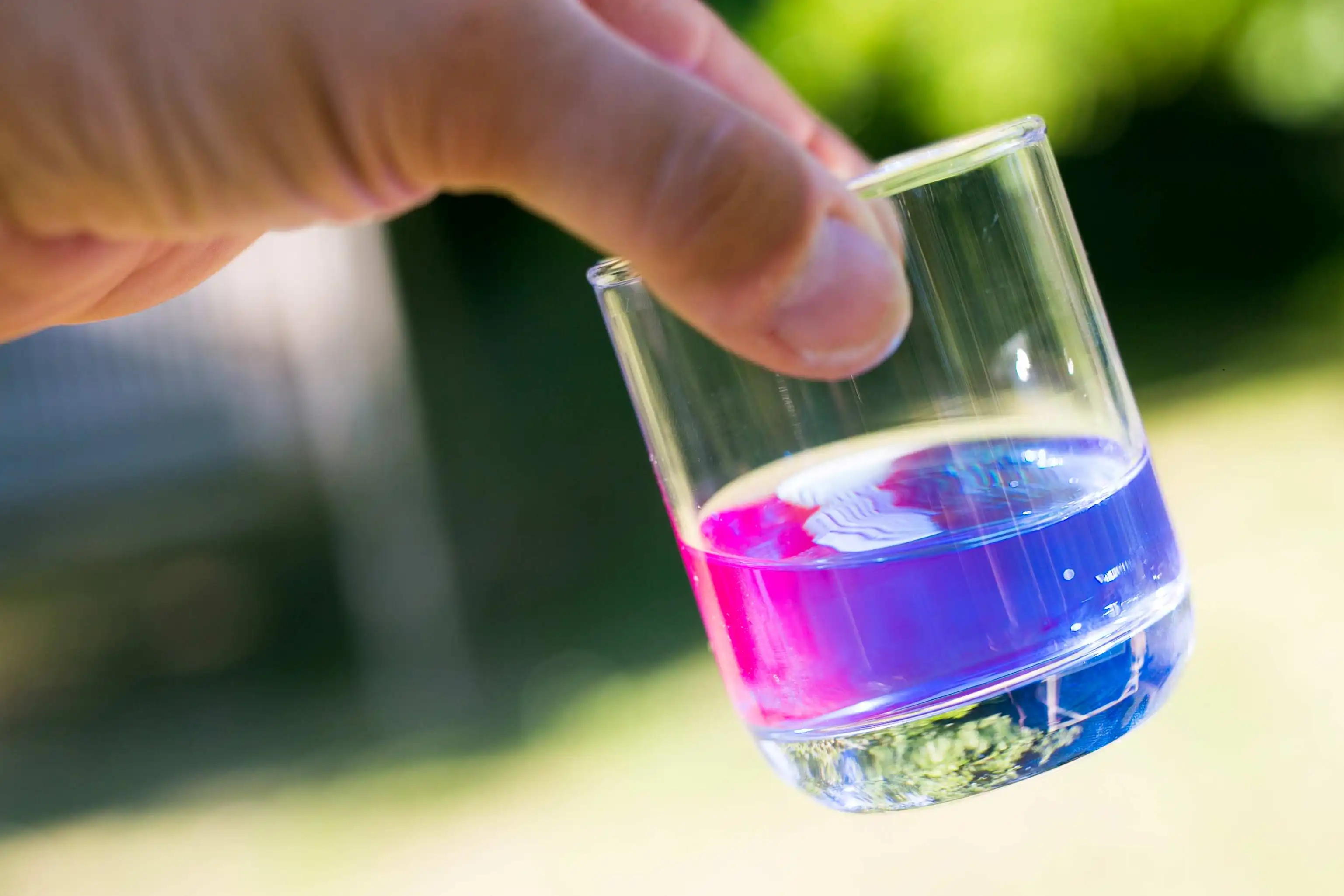 Private label liquid spirulina extract rich in phycocyanin and cooper for dietary supplement