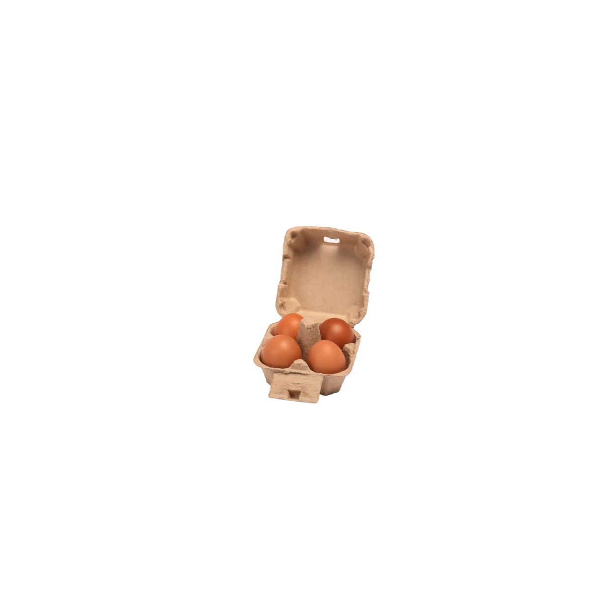 Egg Box With Paper Pulp Bio Degradable Molded  Manufacturer Degradable Cheap Price Egg Box Egg tray made in Viet Nam