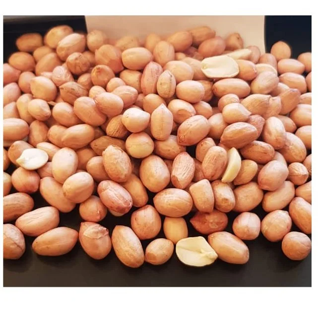 JAVA GROUNDNUT INDIA GREAT QUALITY OF GROUND NUT OFFER PRICE