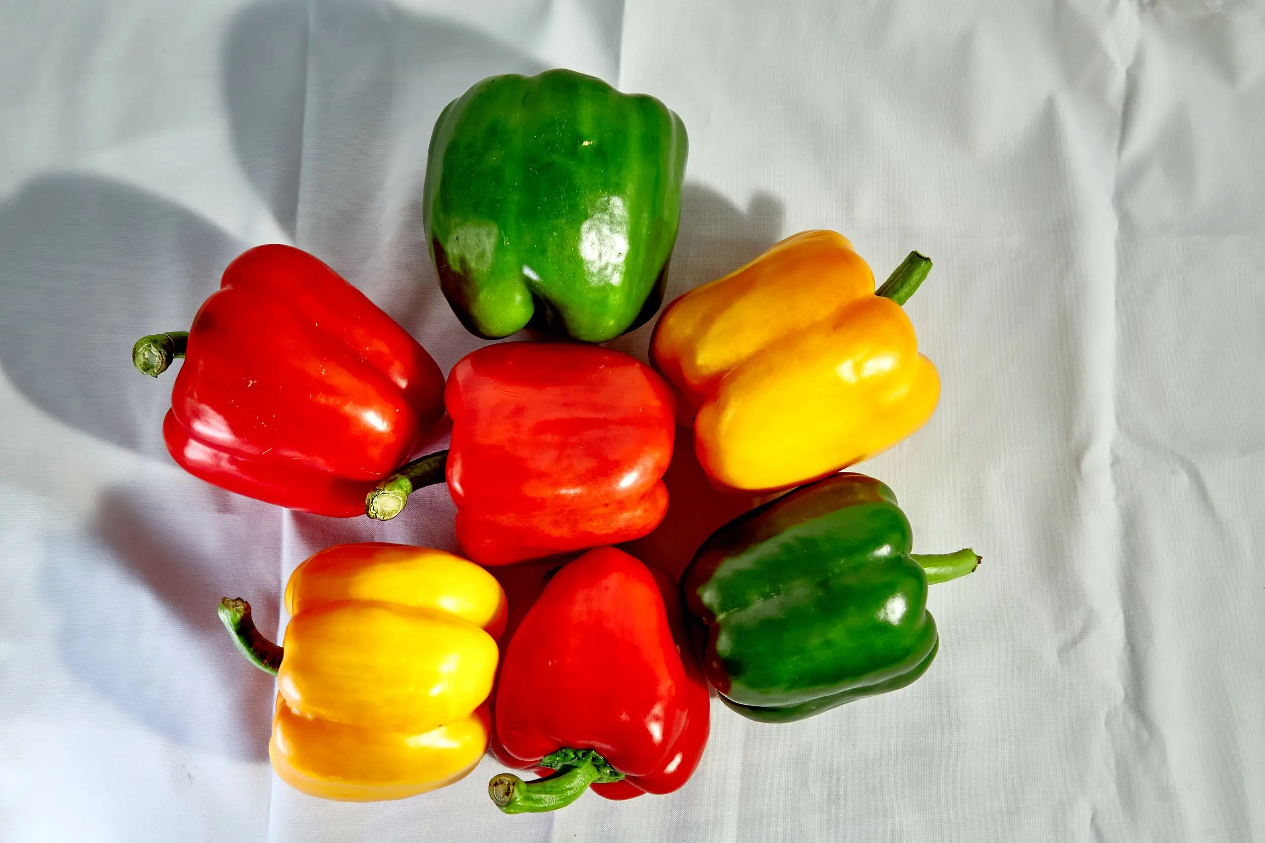 Fresh Capsicum Bell Pepper Spicy Light Sweet For Cooking Spices From Wholesale Vietnam High Quality Standard Ready To ship