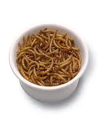 high-protein micro-dried mealworms for animal