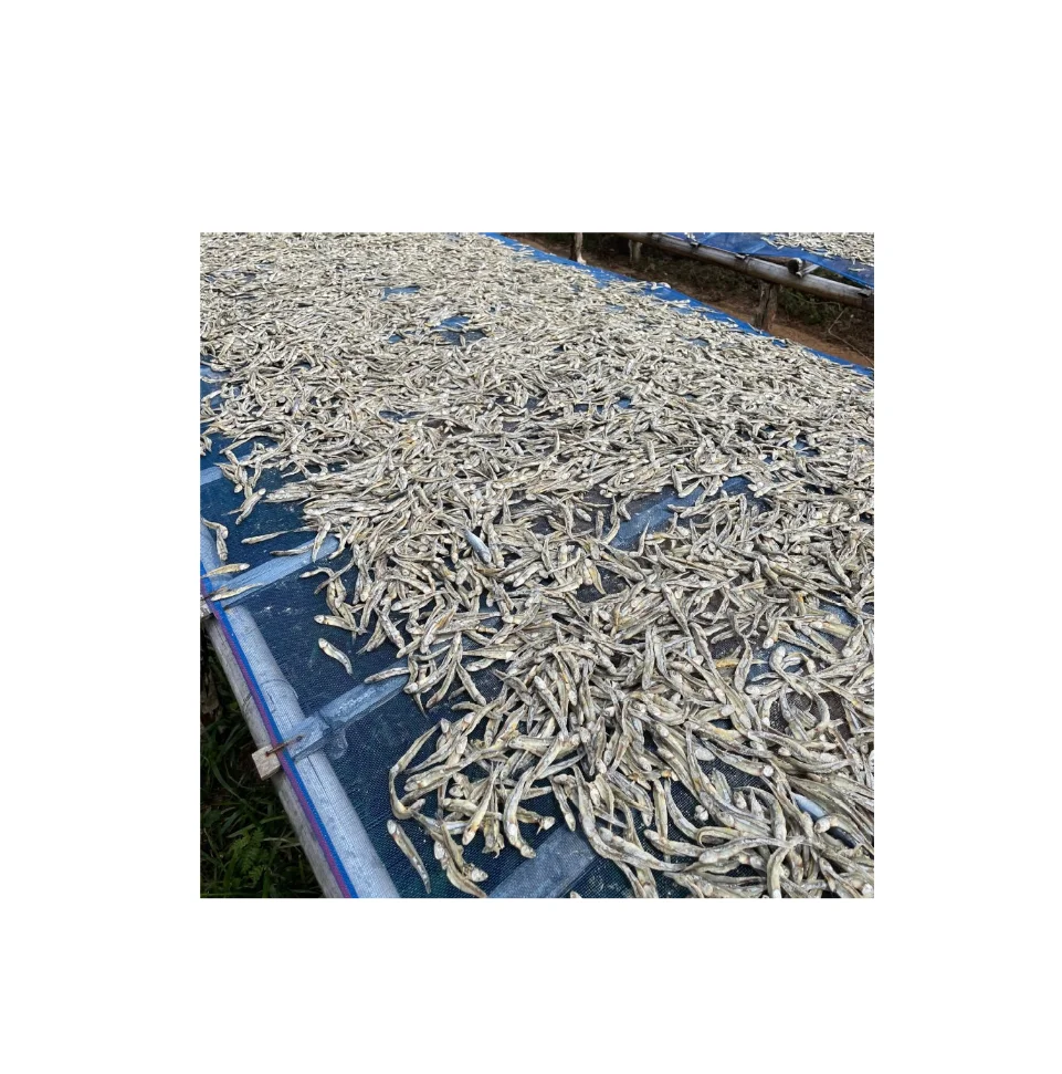 Extra Grade Of Fresh Dried Anchovy Fish RL Supply Brand Quality Product From Thailand Manufacture Export Large Market