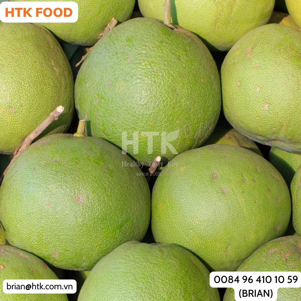 NEW 2024 FROZEN IQF POMELO GRAPEFRUIT Made In Vietnam Factory from HTK FOOD for Food & Beverage