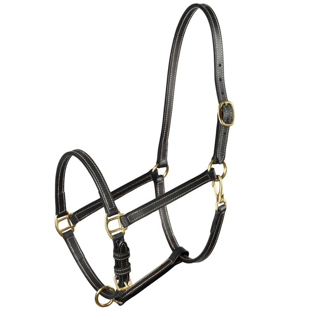 Pure Real Leather Anatomic Horse Halters for Sale Genuine Halter Design Headpiece