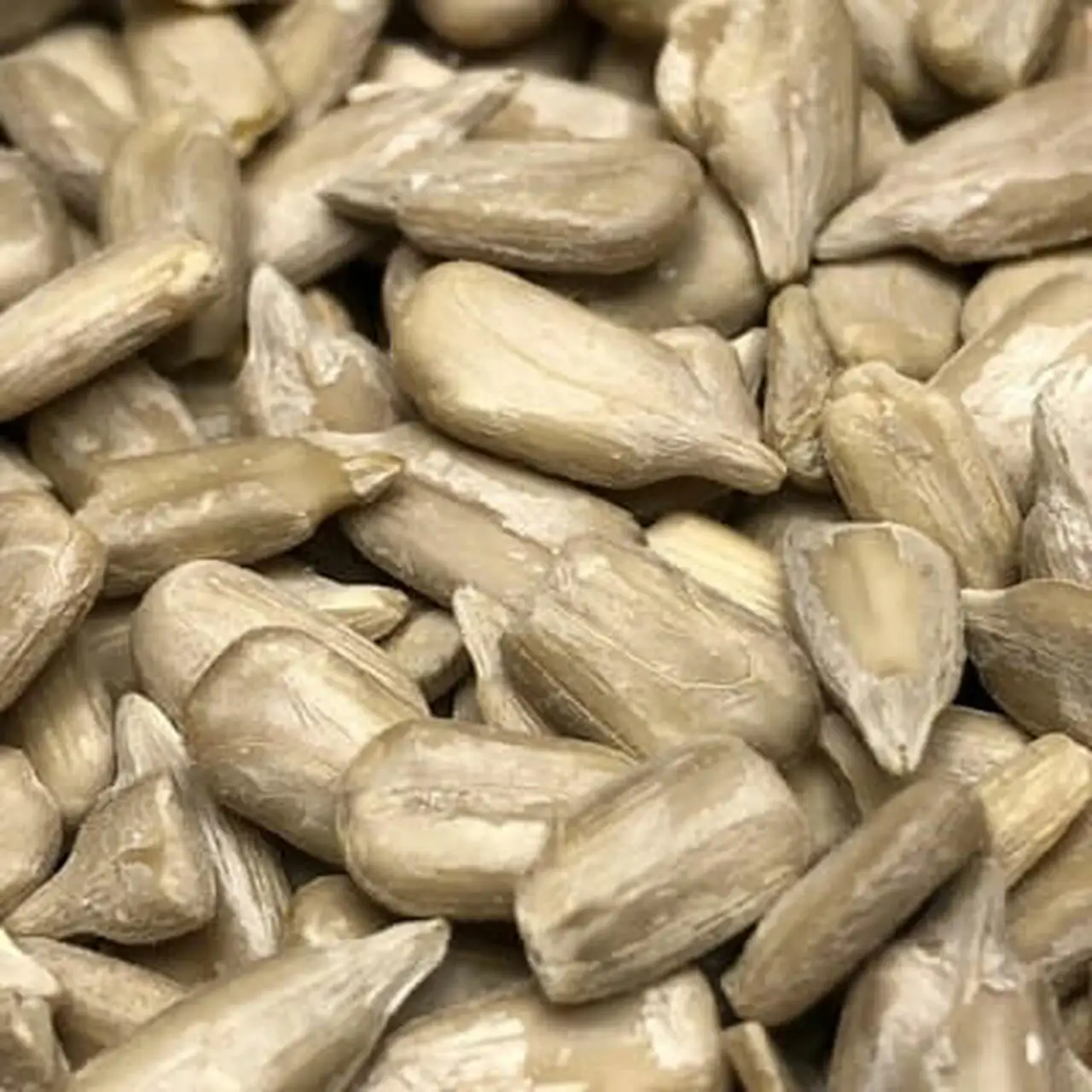 Wholesale Shelled Sunflower Seeds Confectionery Sunflower Kernels