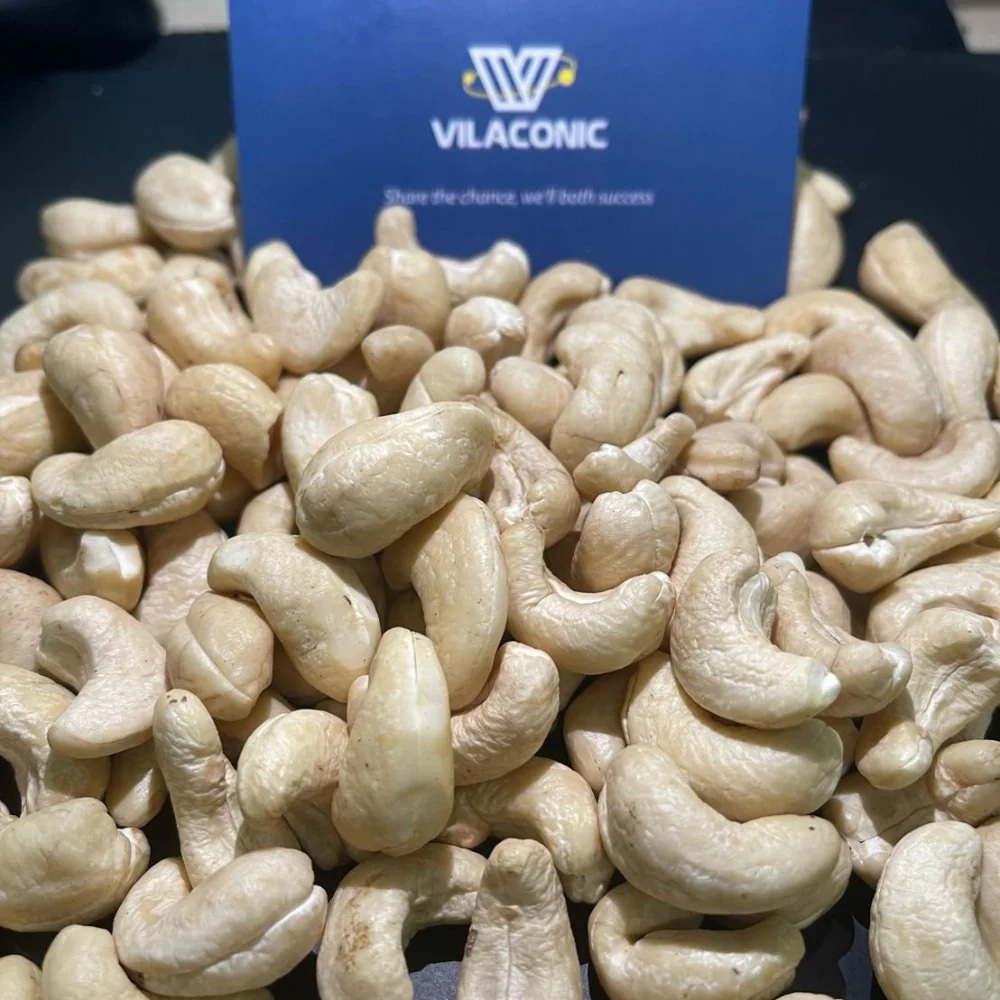ALL TYPE SP LP WW180 WW240 WW320 VIETNAM CASHEW NUTS & KERNEL SPECIALTY, DRY VERY CHEAP, HIGH QUALITY WHOLESALE EXPORT in BULK