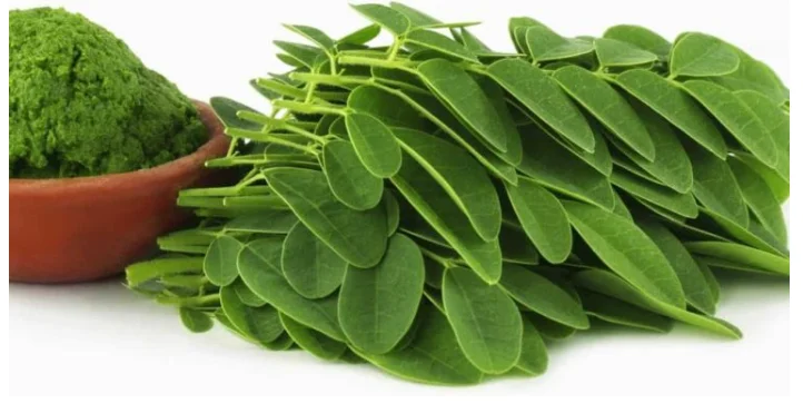 Top Selling  MORINGA NOODLES 280g instant noodle best price  Viet Nam ISO 22000 -2018 Manufacturer from Vietnam