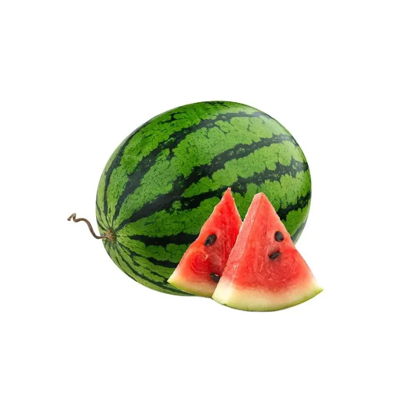 Tropical Fruit Fresh Watermelon From Vietnam Wholesale Sweet Taste Red Watermelon Fruit With Reasonable Price