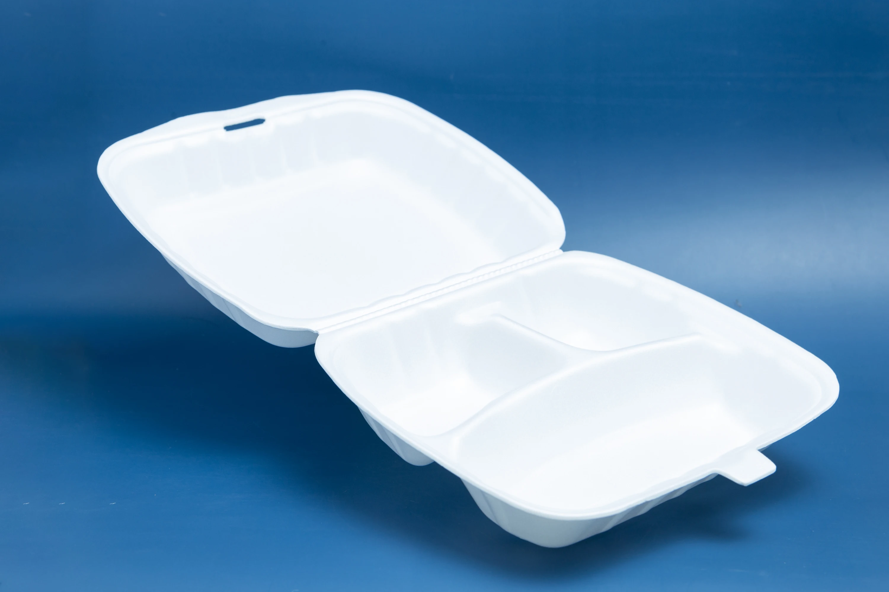 Low Price Ready to Ship Disposable PS Foam Food Container Take Away Lunch Box White Color Exported Form Vietnam