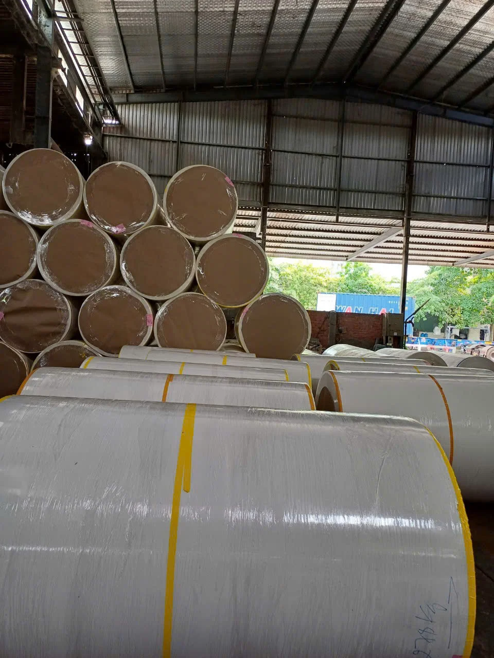 MADE IN VIETNAM 1Manufacturer Wholesale kraft paper price per ton single pe coated white kraft paper raw material Jumbo Roll