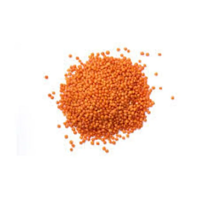 Best quality Red Lentils for sale/ food industry and cooking wholesale prices beans grains seeds for sale