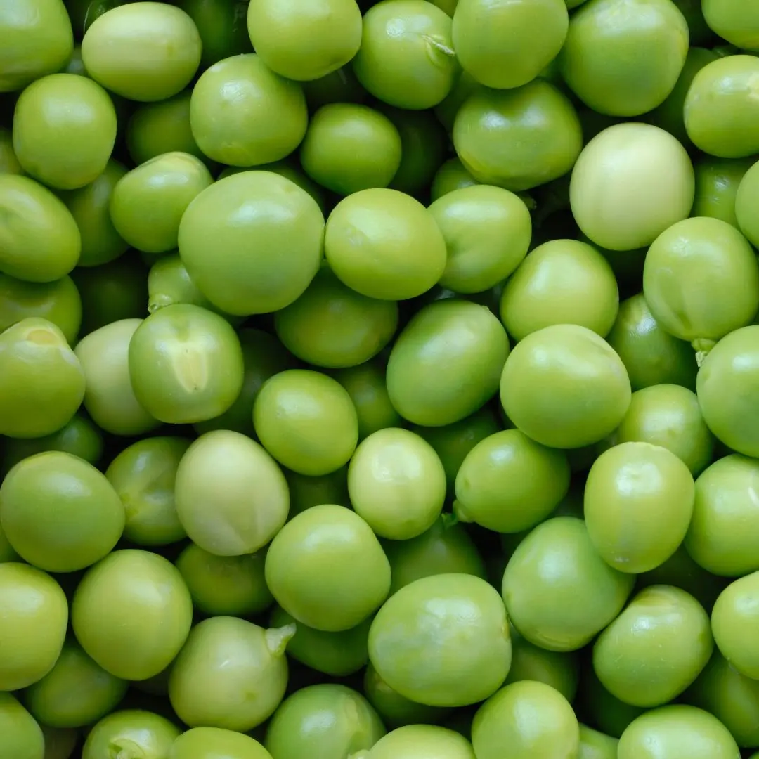 Natural Grade Organic Green Peas Hot Sale Factory Price Green Peas Finger Supplier From India