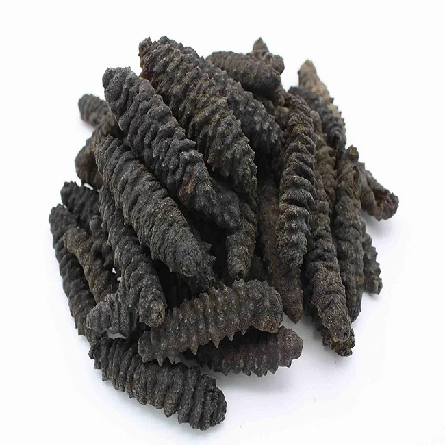 Wholesaler Sea Cucumber Dried and Frozen Sea Cucumber, Natural for sale