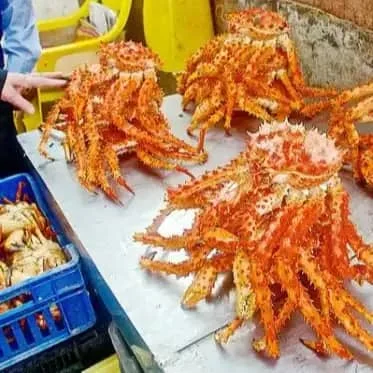 Королевские крабы Замороженные качественные королевские крабы снежные крабы/королевские крабы из аляски/норвежские королевские крабы