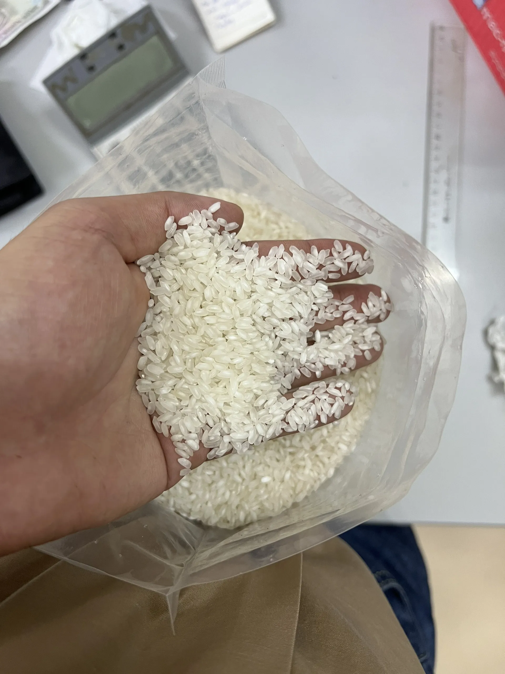 Ham Chau Medium Rice - High Quality Product  from Vietnam. Best rice in the world