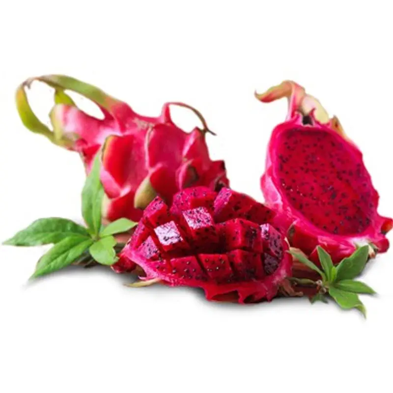 High Quality Fresh Red Dragon Fruit in Bulk from Vietnam