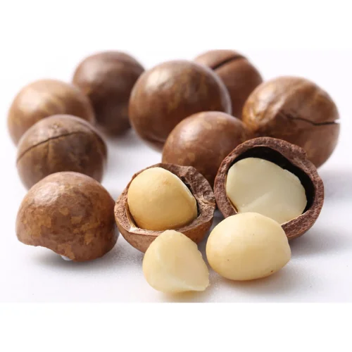 High-Quality Macadamia Nuts In Bulk Order Macadamia Nuts For Wholesale Perfect For Food Industry Applications