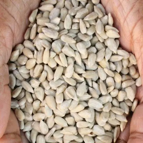 Cheap price sunflower seeds black sunflower seeds kernels for sale