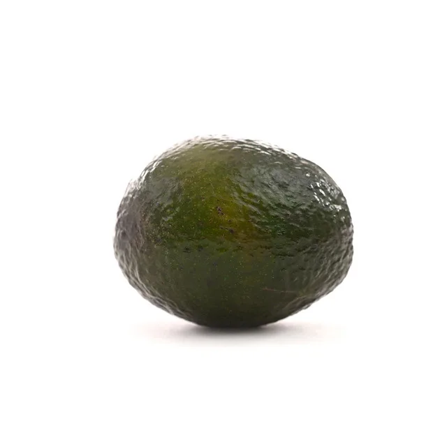 High Quality Cheap Price For Export Wholesale Fresh Avocado Cheap Fresh Avocado Fresh Avocados