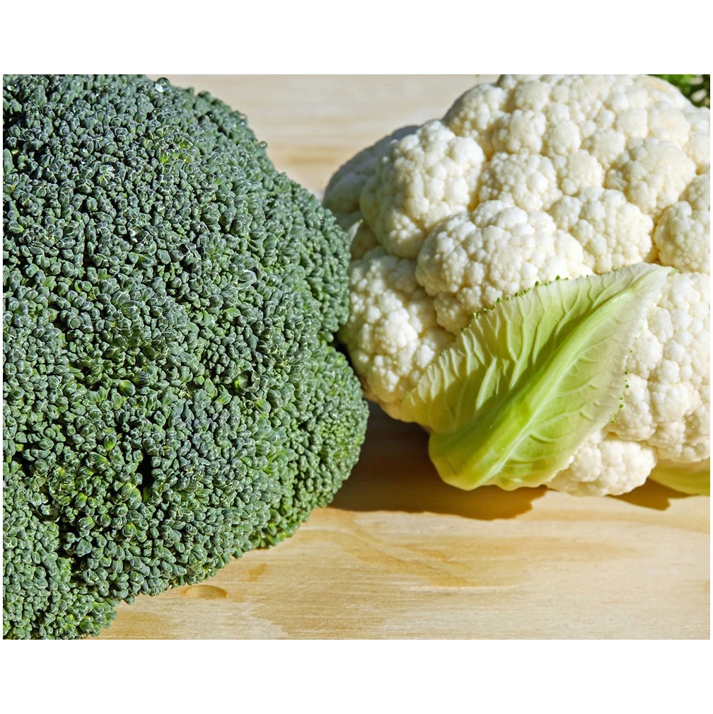 Hot-sale Fresh Organic IQF Frozen Broccoli brand price %100 Natural Wholesale Fresh Broccoli Vegetable Origin High Quality