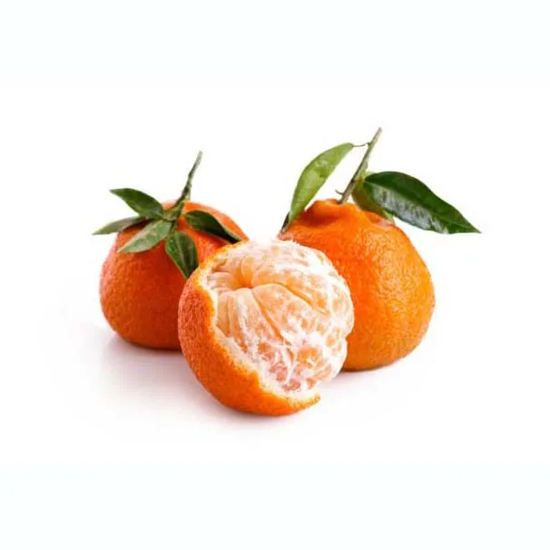 Fresh citrus fruit from Chile Fresh Mandarin orange for sale