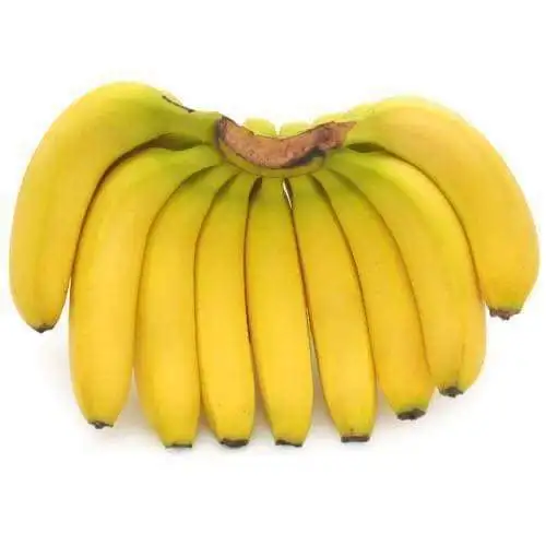 Fresh Cavendish Banana from Vietnam High Quality Green Tropical Style Organic Color Origin Type Variety Grade Product ISO Fruit