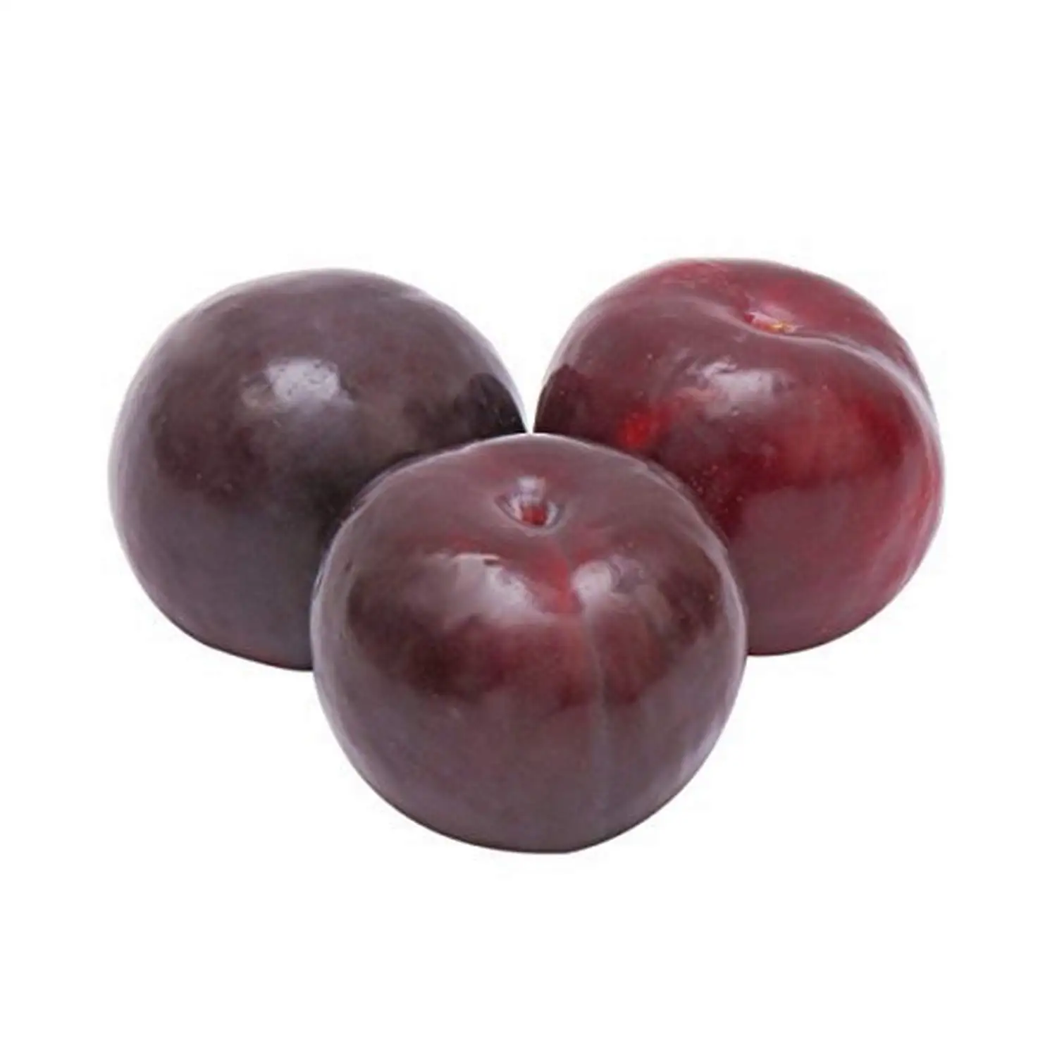 Hot sales price Fresh Plum for sale
