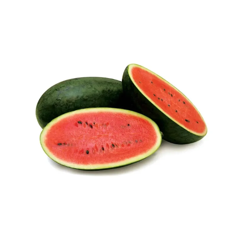 Sweet Natural Watermelon Fruit With High Quality Tropical Fresh Red Watermelon Wholesale From Vietnam