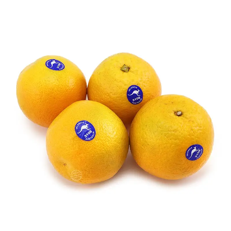100% Pure Natural Fresh Citrus Naval Oranges, Valencia Orange