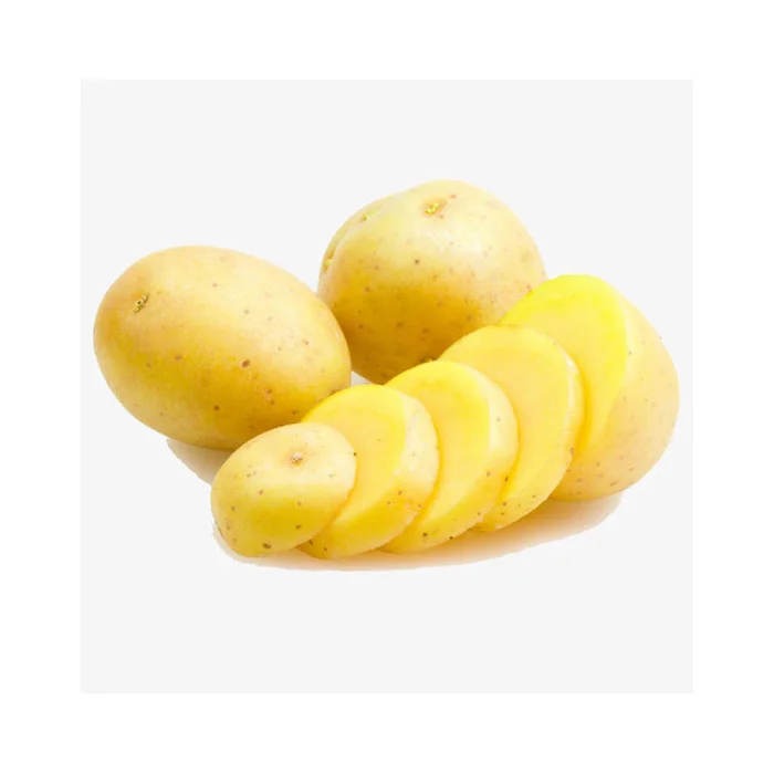 New Crop Yellow Fresh Potatoes Available for Export