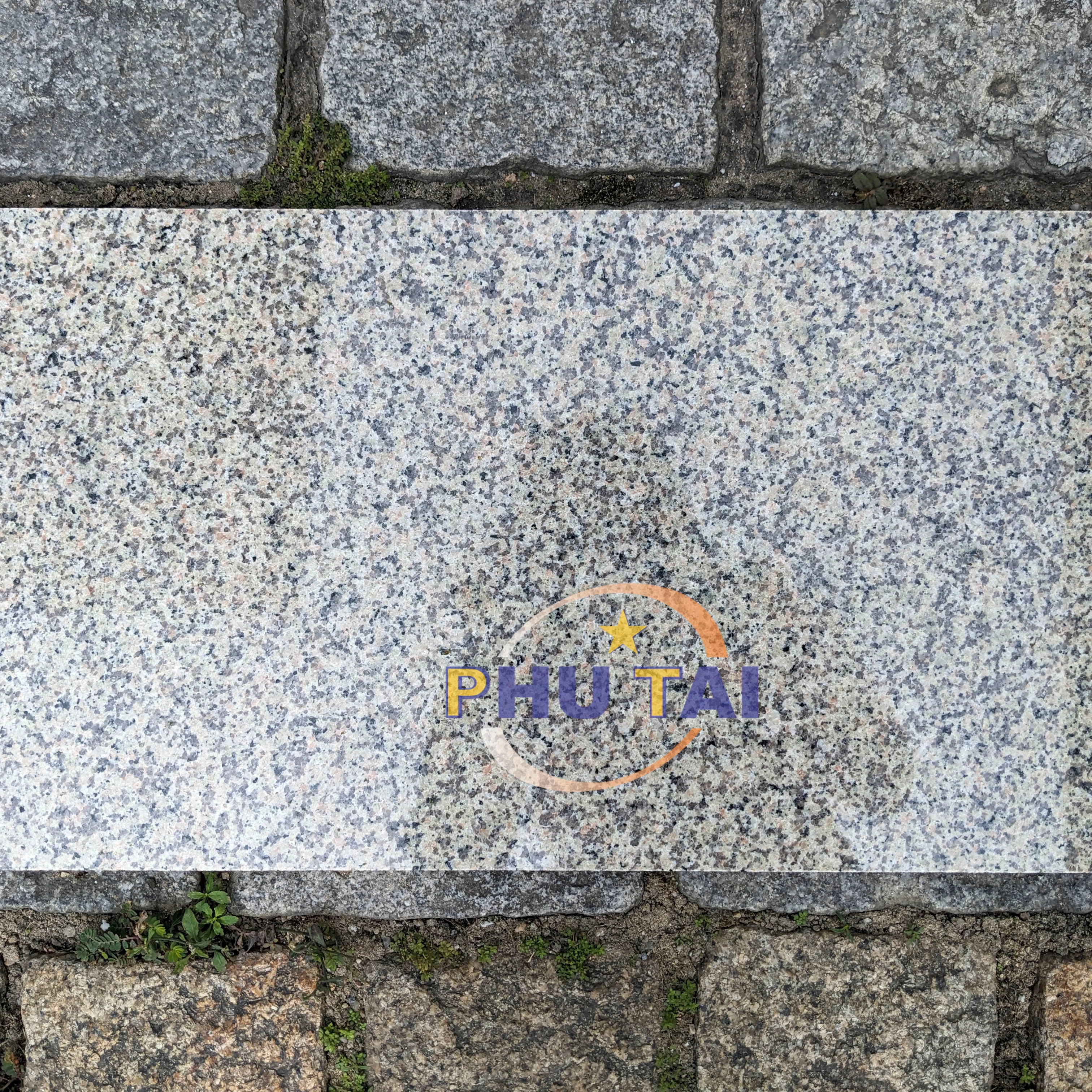 New Arrival 2023 Light Yellow Granite from Vietnam full export license