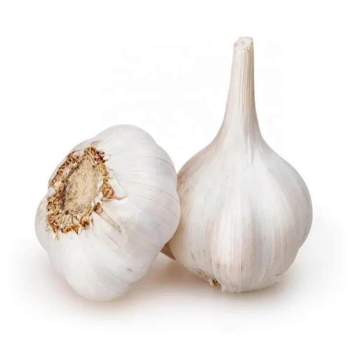 5.5 cm Factory Pure White Fresh Garlic Price/ bulk garlic for sale/ garlic from Austria