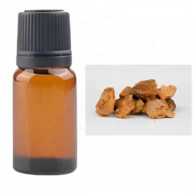 ASAFOETIDA CARRIER OIL MANUFACTURER KANHA NATURE OILS INDIA WHOLESALE PRICE BUY BULK PREMIUM QUALITY