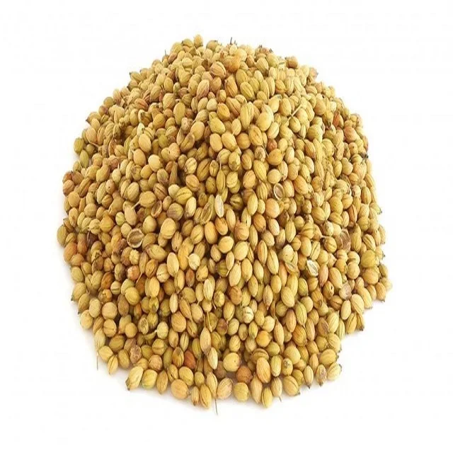 Natural High-Quality Coriander Seeds for Fresh Flavor Freshly Harvested Coriander Seeds for Gourmet Cooking