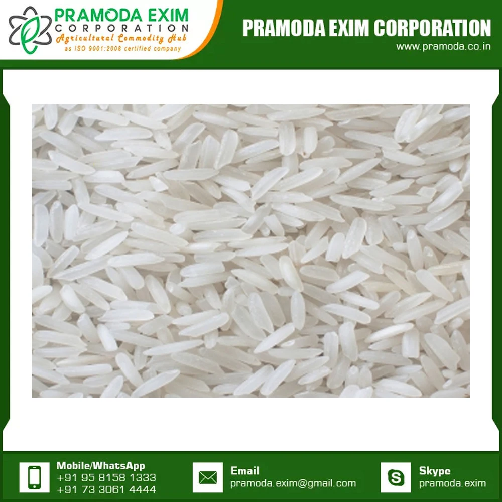 High Quality Indian Long Grain White Rice Available At Wholesale Price