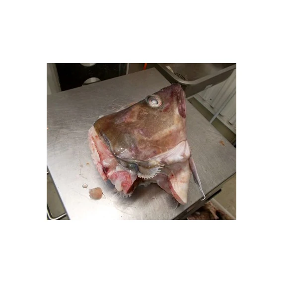 Wholesale High Quality Seafood Supplier Frozen Cod Heads For Sale
