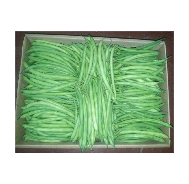 Egypt Origin Export Superior Quality Best Selling Wholesale Natural Vegetables Fresh Green Beans for Bulk Purchase