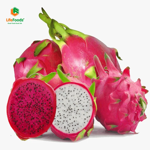 Color package weight MOQ negotiation accepted size pricing red dragon fruit Fresh Red Dragon Fruit Lifefoods from Vietnam