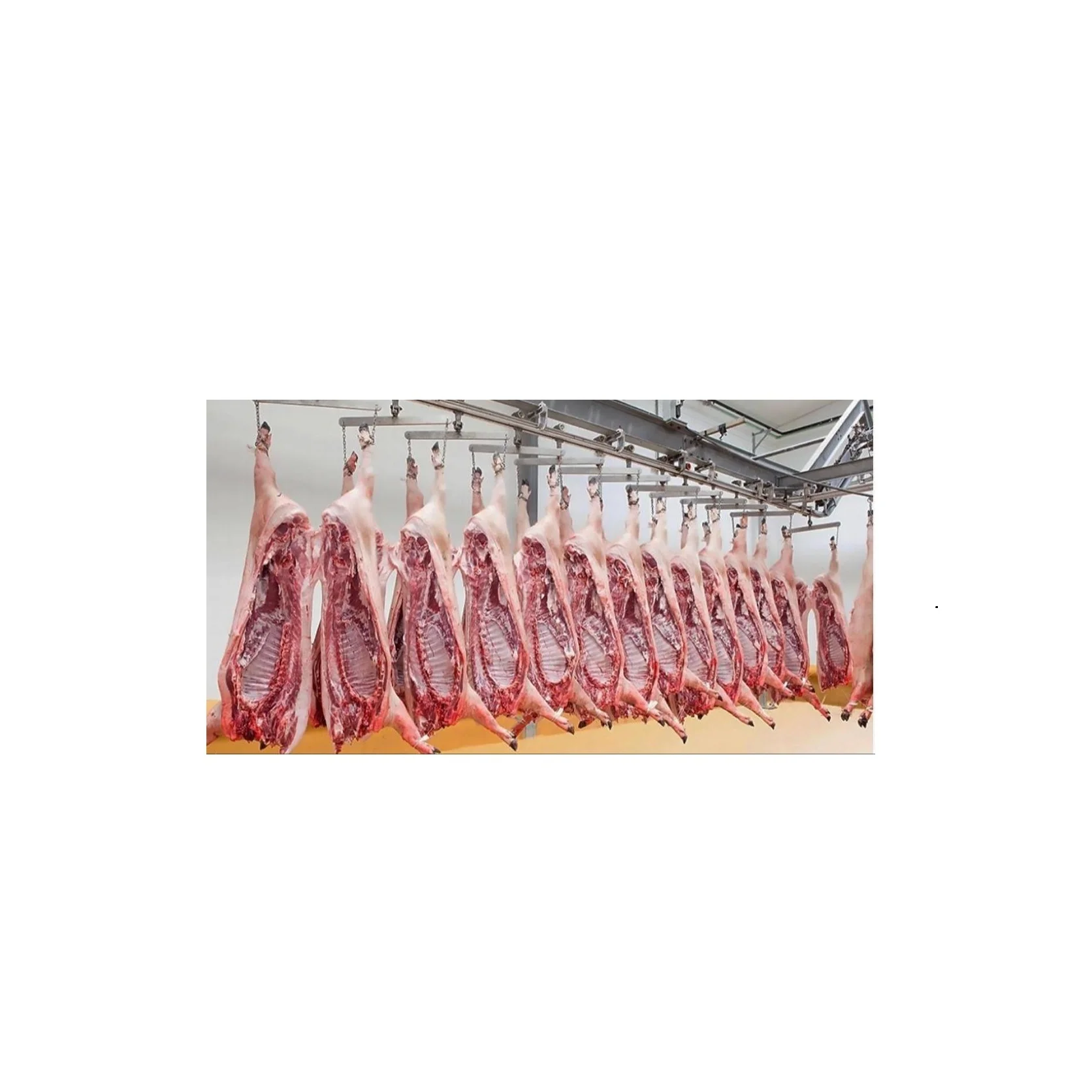 Premium Quality Frozen Pork Half/Full Carcass with Fat Whole Liver Tail IQF Process Bulk Stock at Wholesale Cheap Price