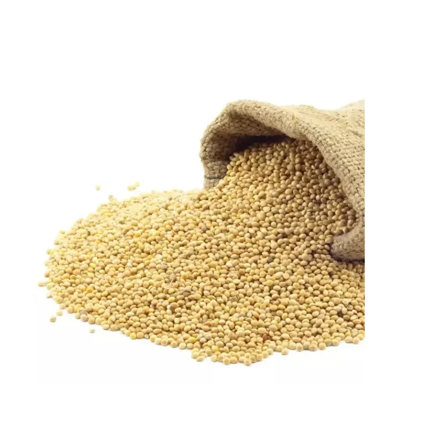 Wholesale Yellow Millet /Black Millet for Birds Food Lo price