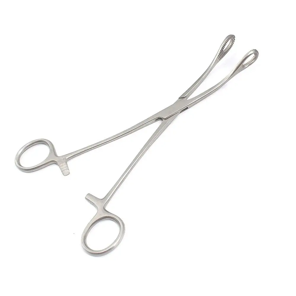 German Forester Sponge holding Forceps Slotted Body Piercing Tools Piercing Forceps High Quality