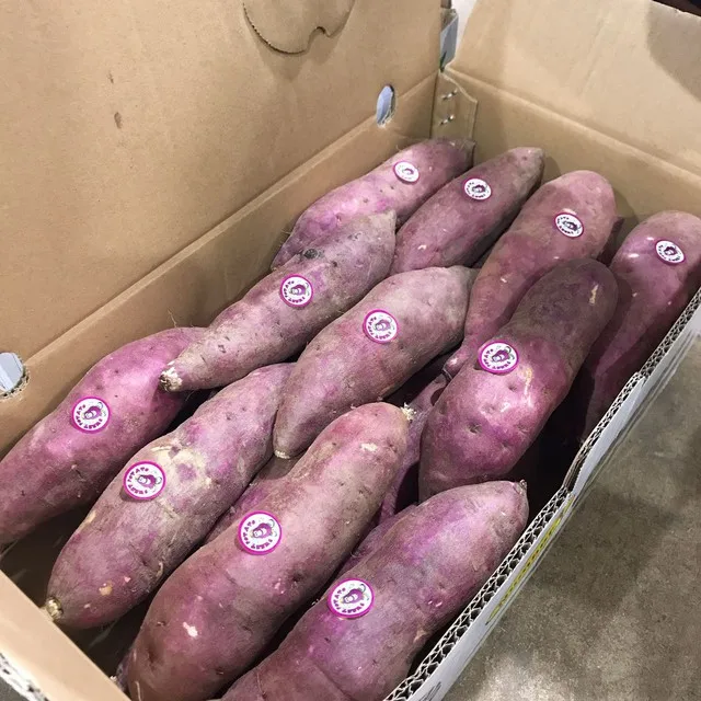 High Quality Package Custom Fresh Vegetables Steamed Sweet Potato from Vietnam