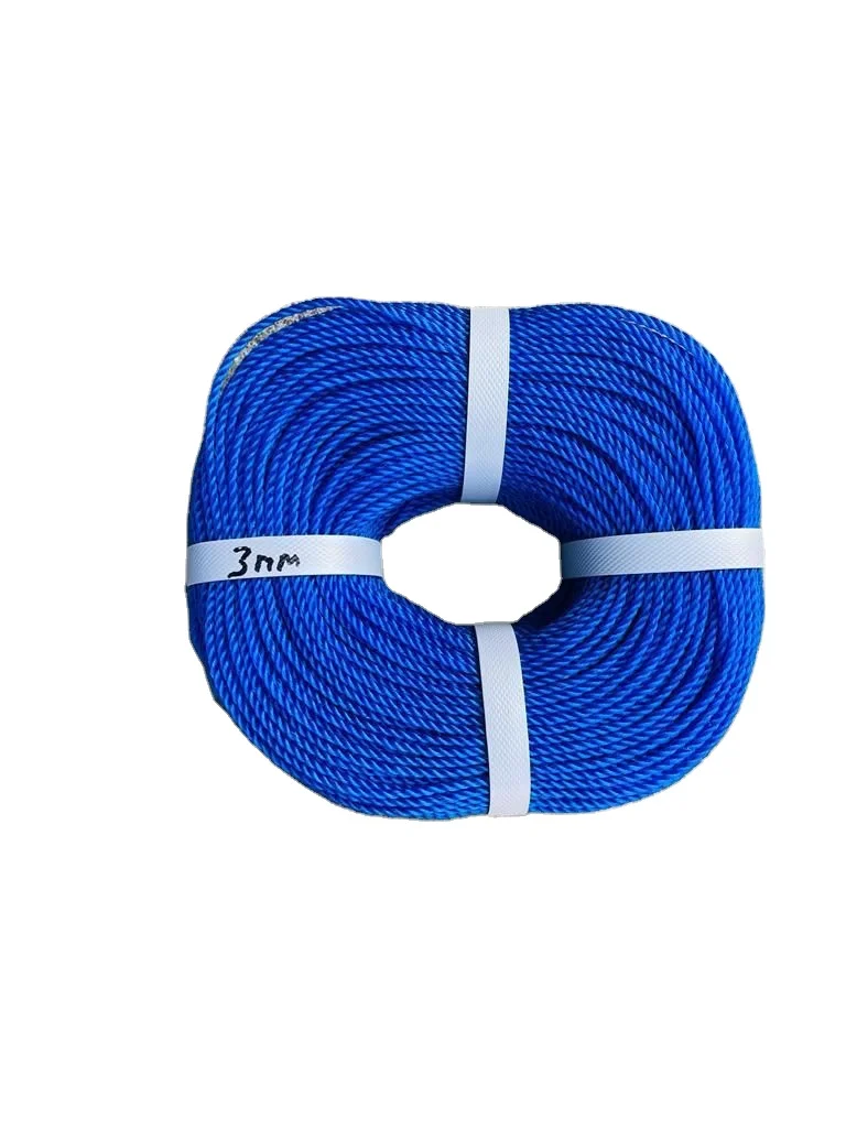 Multi Colored Polyester Cord polypropylene rope 2mm 3mm 4mm Macrame Braided Cords Flat Nylon Parachute Cord